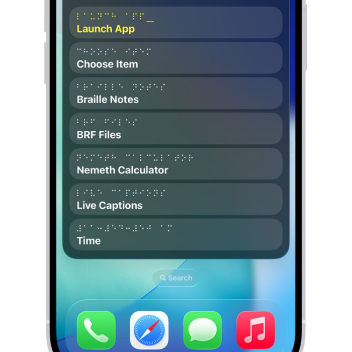 Braille Screen Input