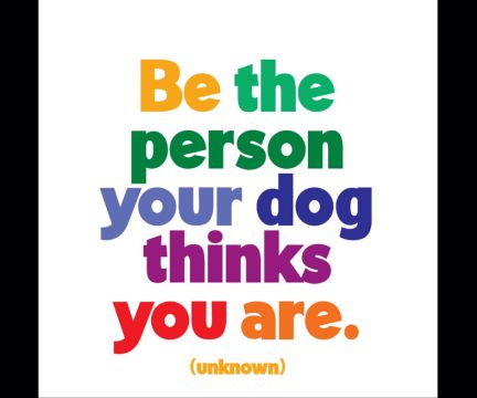 Magnet: Be the person your dog thinks you are.