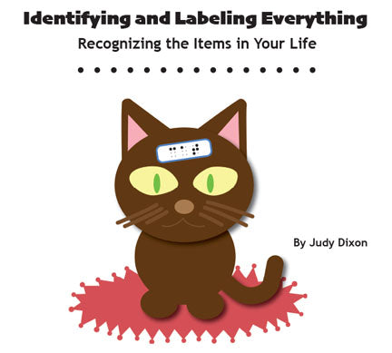 Identifying and Labeling Everything: Recognizing the Items in Your Life