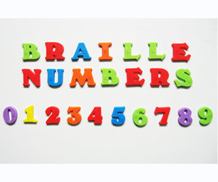 Braille Magnetic Numbers