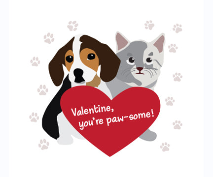 Valentines 2022 (Paw-some) 32 Count